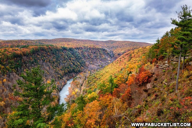 PA-Grand-Canyon-Fall-Foliage